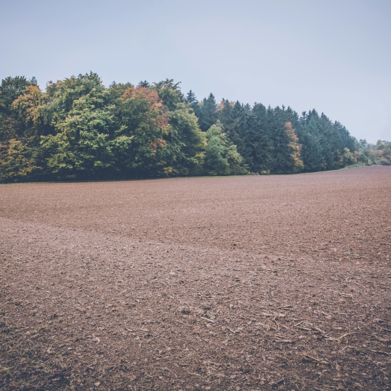 Terrain