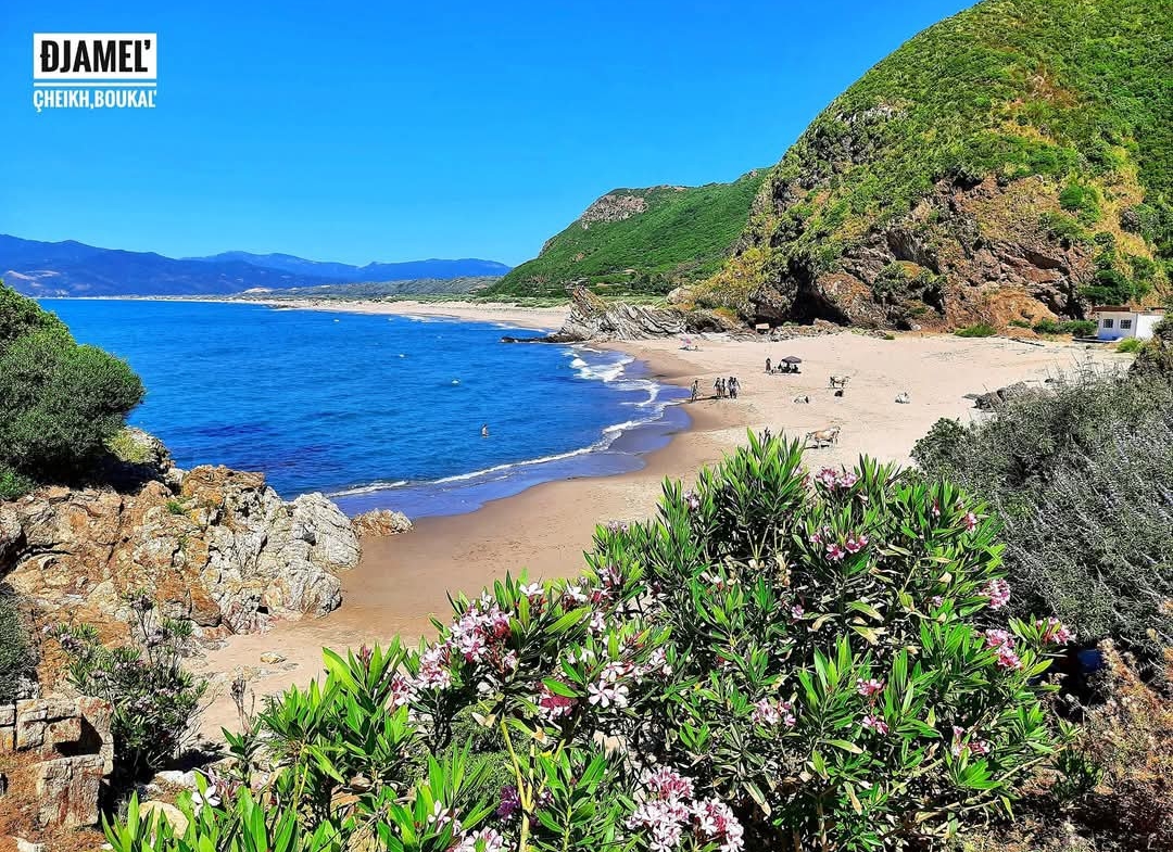 Un F2 (niveau de Vila) à Oued Zhour, Skikda