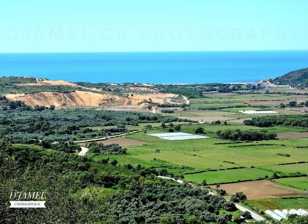Un F2 (niveau de Vila) à Oued Zhour, Skikda