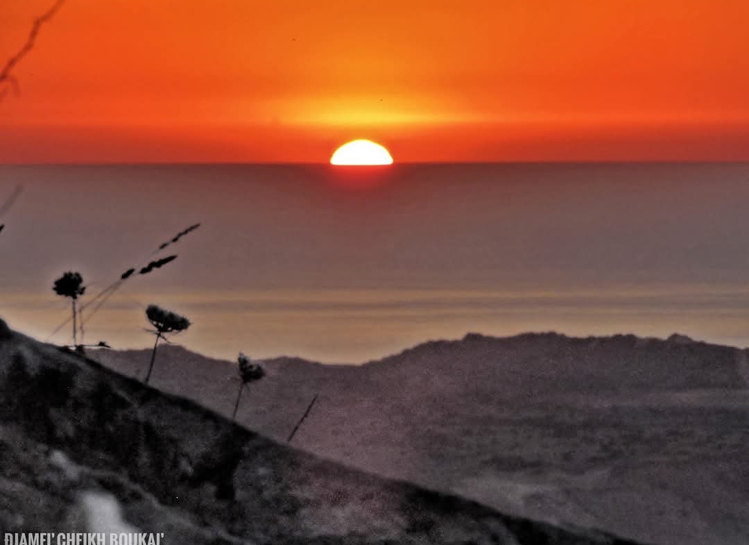 Un F2 (niveau de Vila) à Oued Zhour, Skikda