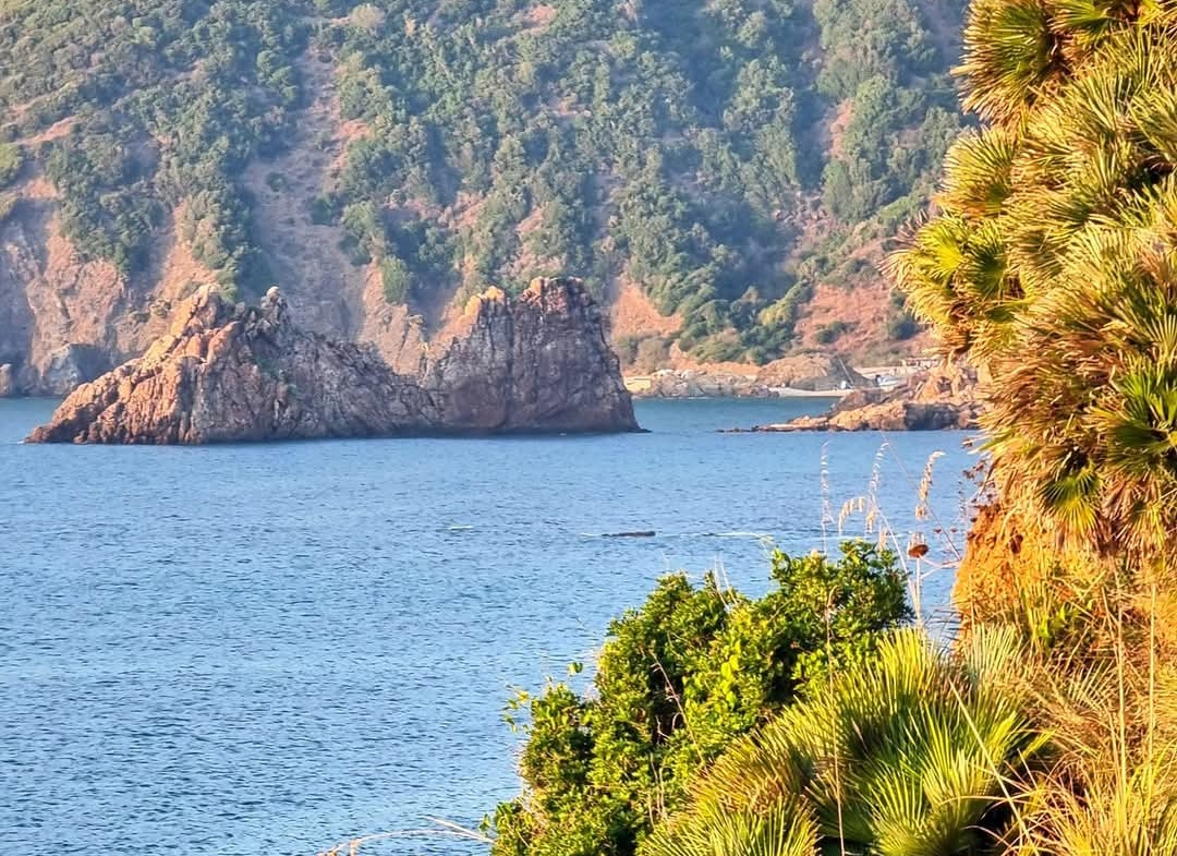 Un F2 (niveau de Vila) à Oued Zhour, Skikda