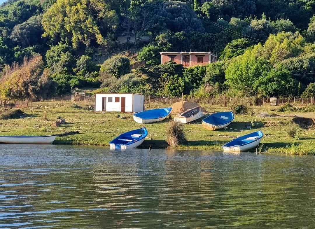 Un F2 (niveau de Vila) à Oued Zhour, Skikda